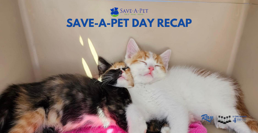 SAVE-A-PET Day RECAP